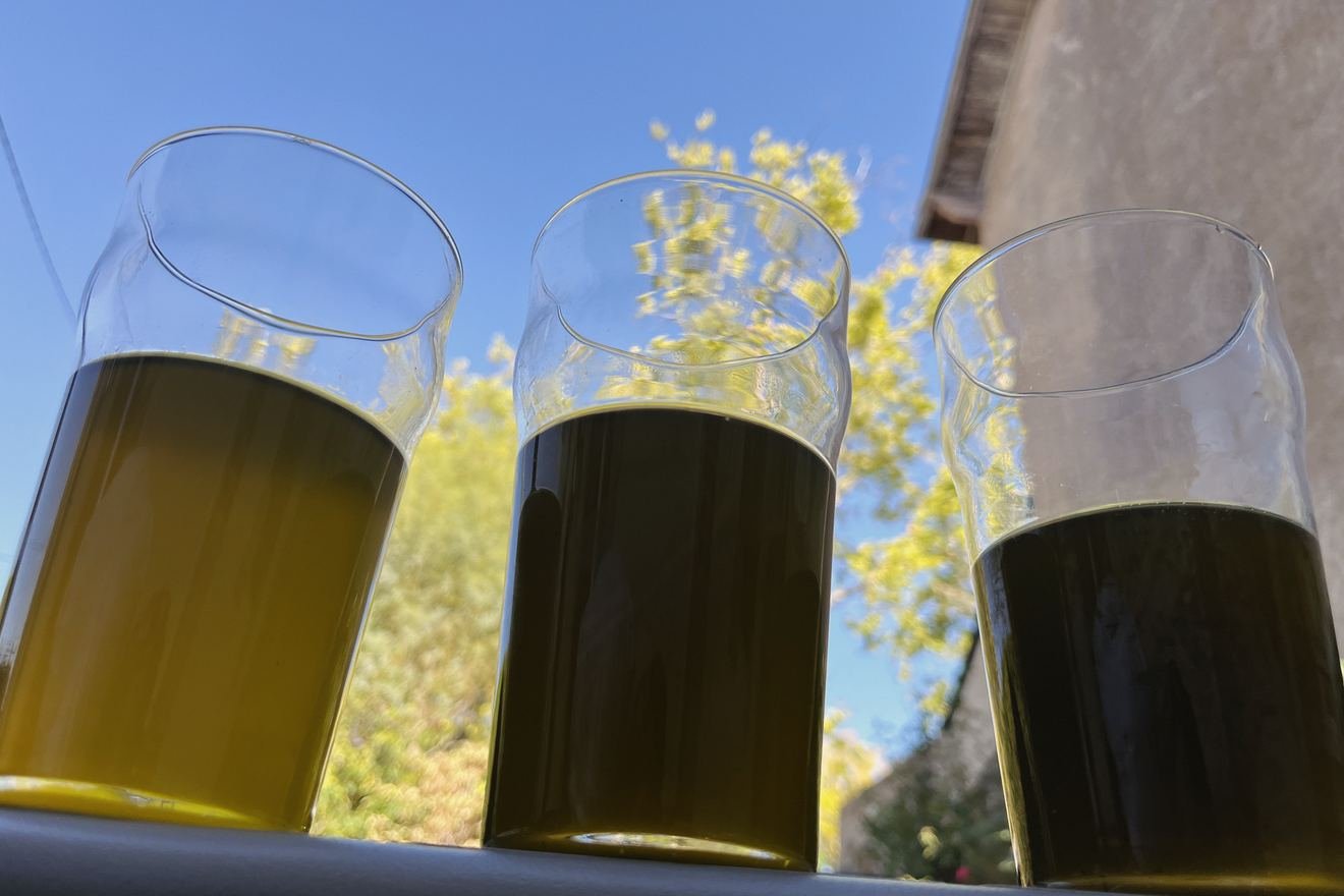 Trois verres d'huile de plantain en contre-jour, du doré au presque noir.